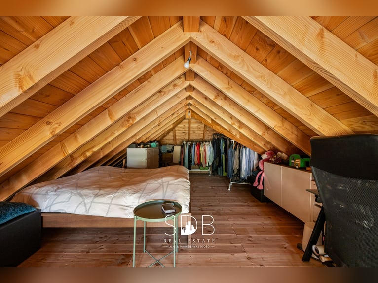 Charmante woning met wijngaard en graslanden op 14.569m² te Wachtebeke | België