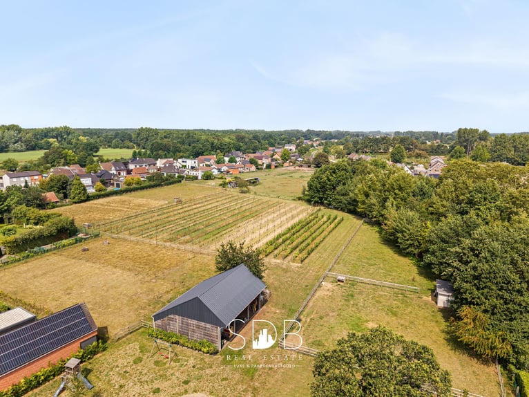 Charmante woning met wijngaard en graslanden op 14.569m² te Wachtebeke | België
