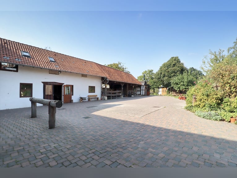 Charmantes Bauernhaus mit artengerechter Pferdehaltung und vielen weiteren Möglichkeiten