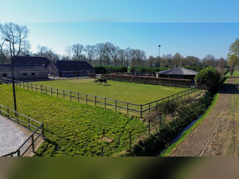 Charming Equestrian Property with Excellent Facilities in a Unique Setting