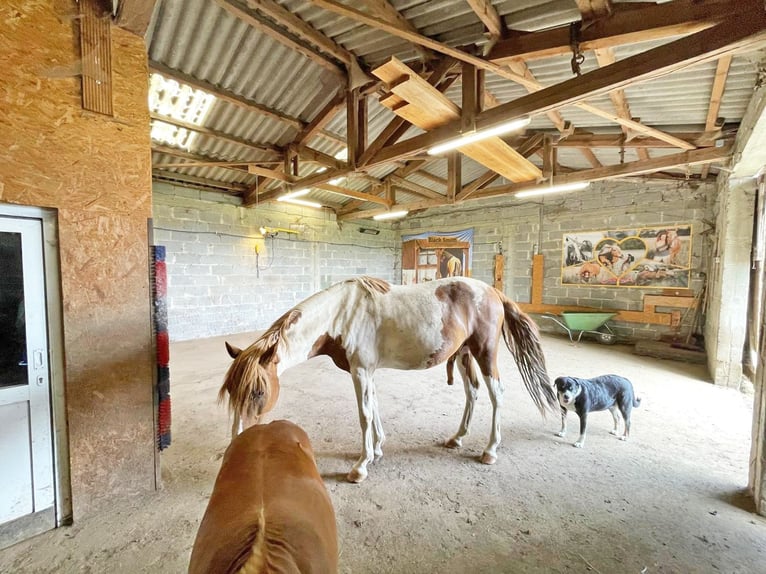 Das Anwesen befindet sich in Osthessen, im Landkreis Fulda, in der Gemeinde Hosenfeld