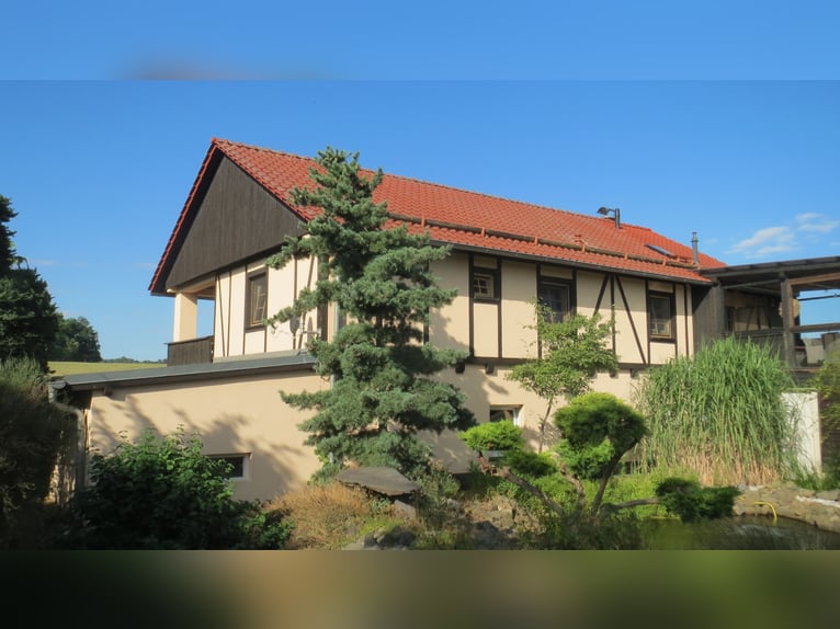 DAS Glück hat ein ZUHAUSE-gepflegtes WH +FEWO- Ortsrand Plauen / Vogtlandmetropole-Reitplatz-Boxen