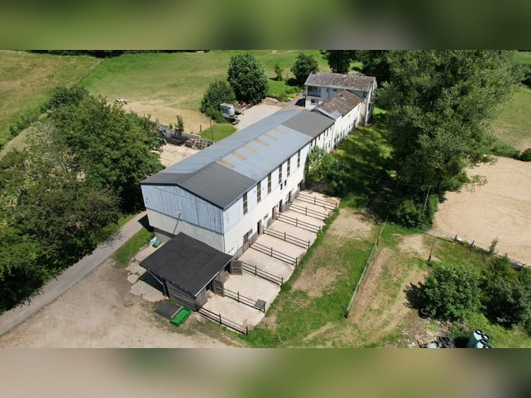 Der Traum vom eigenen Pferdehof – Wohnen, Reiten und Leben auf rund 7 ha in idyllischer Alleinlage
