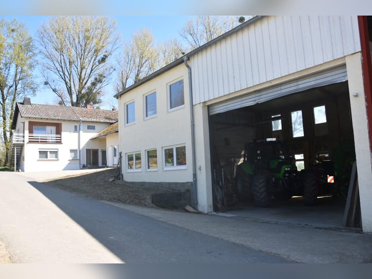 Der Traum vom eigenen Pferdehof – Wohnen, Reiten und Leben auf rund 7 ha in idyllischer Alleinlage