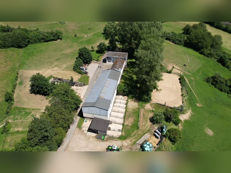 Der Traum vom eigenen Pferdehof – Wohnen, Reiten und Leben auf rund 7 ha in idyllischer Alleinlage