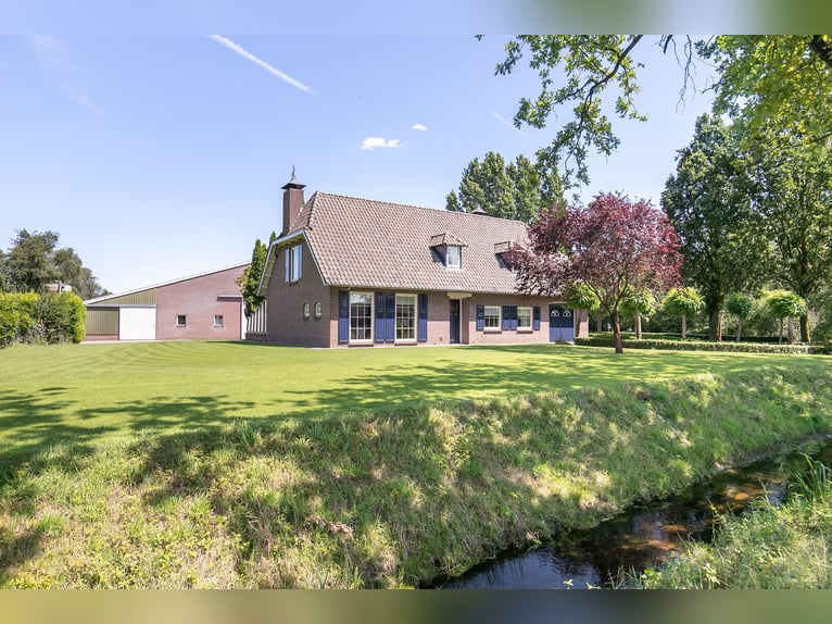 Detached house with riding hall behind, a half-hour drive from Equestrian Centre de Peelbergen!