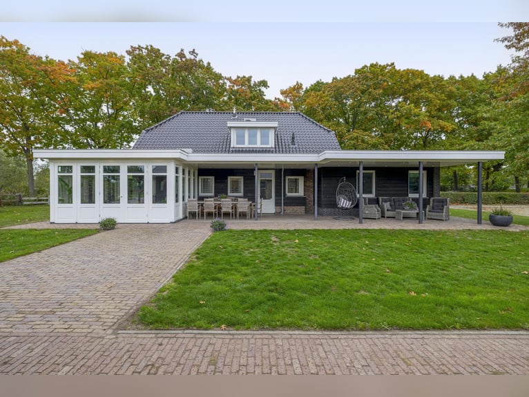 Ein wunderschöner Ort für das Glück der Pferde!