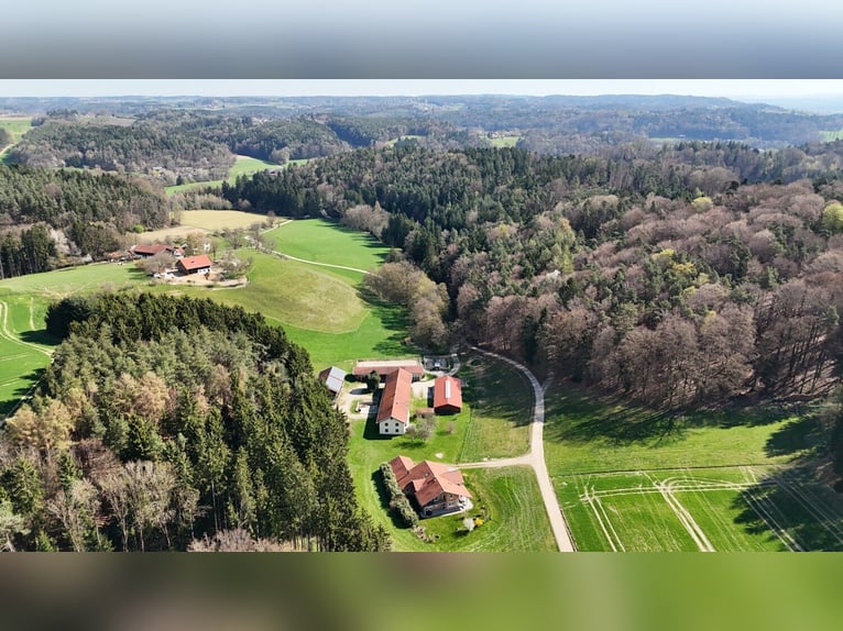 Einzigartiger Pferdehof in traumhafter Alleinlage – ca. 4 ha Eigenland, zwei Wohnhäuser und moderne