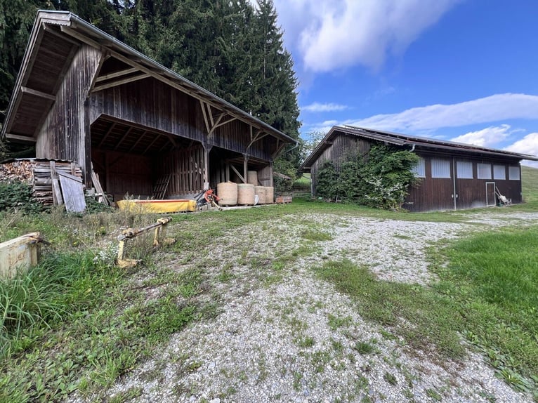 Einzigartiger Pferdehof in traumhafter Alleinlage – ca. 4 ha Eigenland, zwei Wohnhäuser und moderne