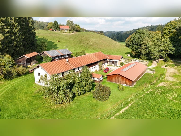 Einzigartiger Pferdehof in traumhafter Alleinlage – ca. 4 ha Eigenland, zwei Wohnhäuser und moderne