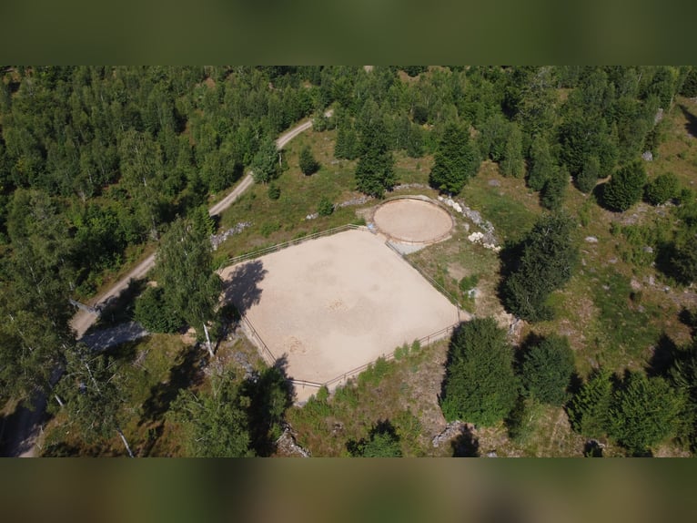 Einzigartiges Anwesen in Blekinge / Südschweden