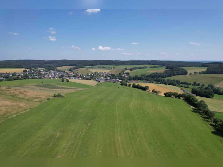 Einzigartiges Grundstück zur Errichtung einer neuen Reitanlage oder für andere Zwecke in bester Lage