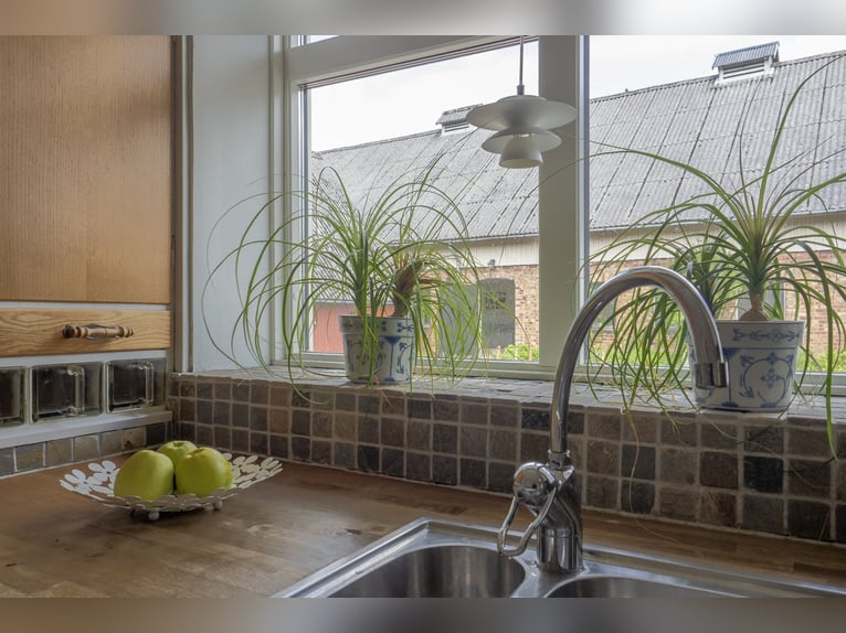 Equestrian Property of Possibilities – Countryside Living with Proximity to Services and Transport