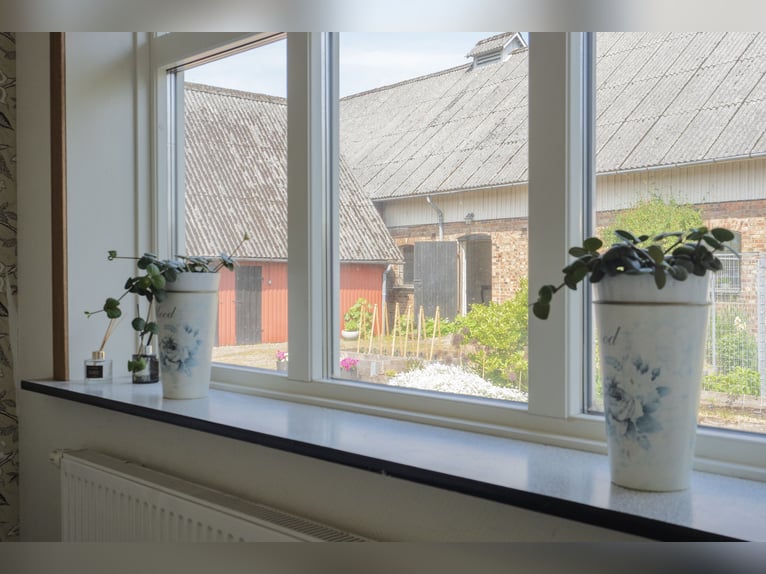 Equestrian Property of Possibilities – Countryside Living with Proximity to Services and Transport