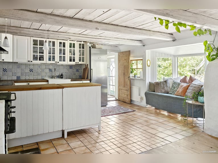 Equestrian Property with Endless Possibilities!