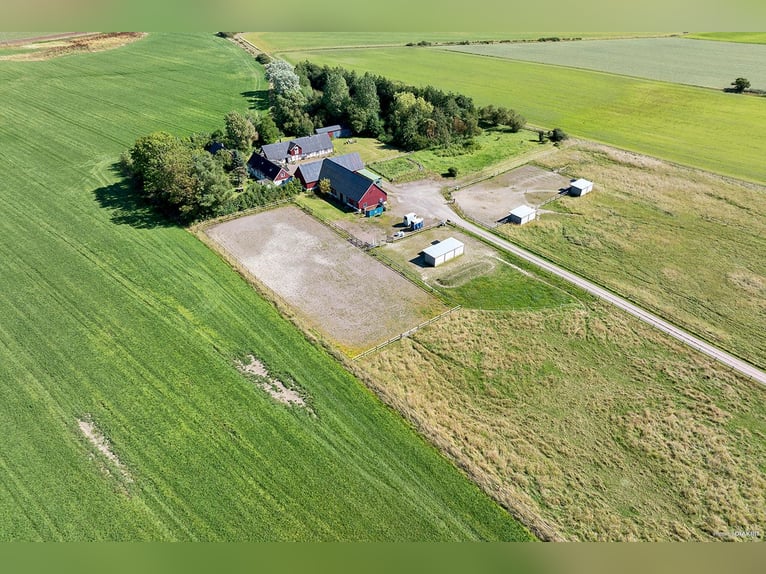 Equestrian Property with Endless Possibilities!