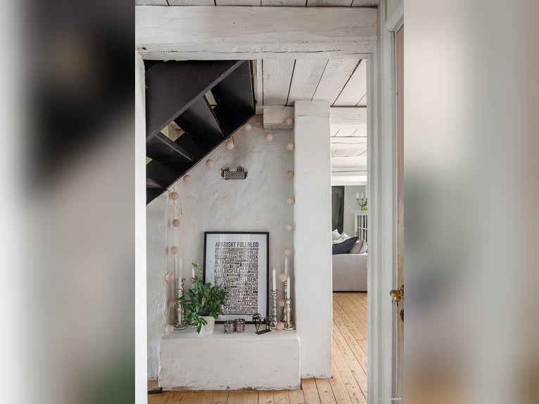 Equestrian Property with Endless Possibilities!