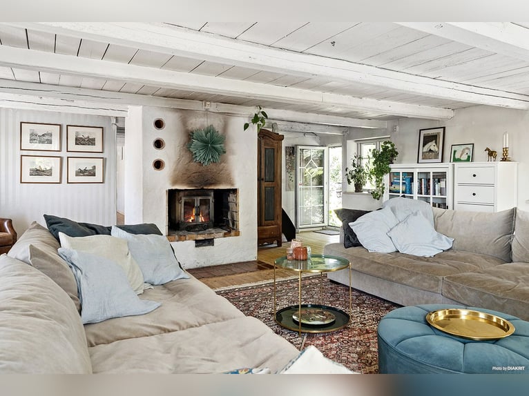 Equestrian Property with Endless Possibilities!