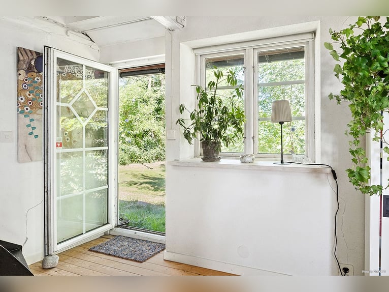 Equestrian Property with Endless Possibilities!