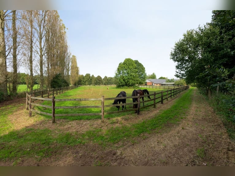 Exclusief hippisch eigendom met luxe woonboerderij