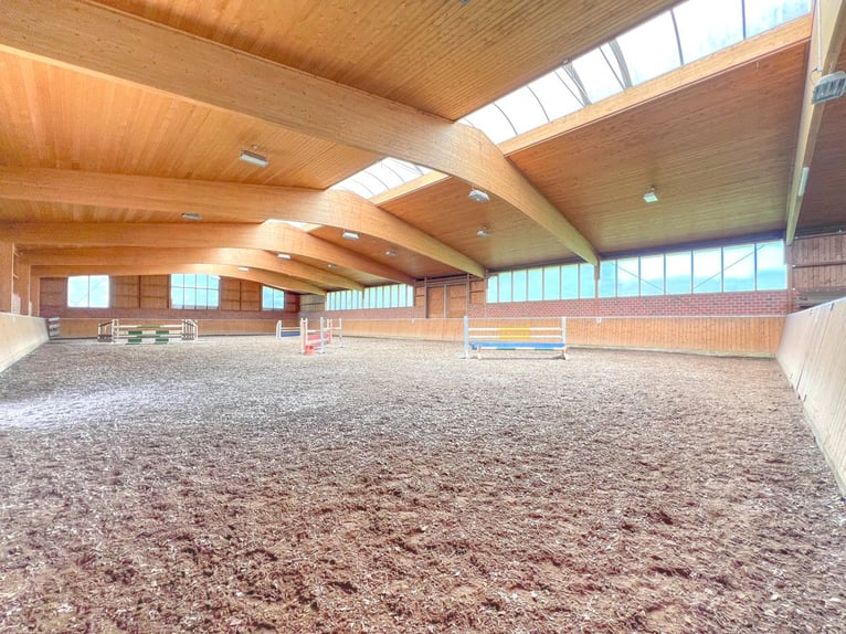 Exklusiv und zentral: Reetdachhaus mit privater Reitanlage