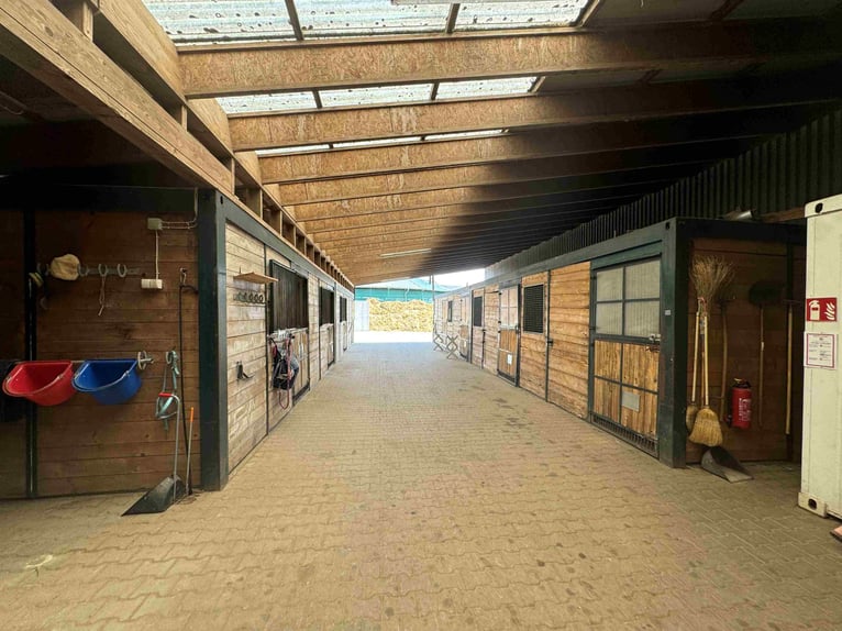 Exklusive Reitanlage im Großraum Nürnberg –  27 Ha, 3 Häuser  Aufteilung in 2 Reitanlagen möglich