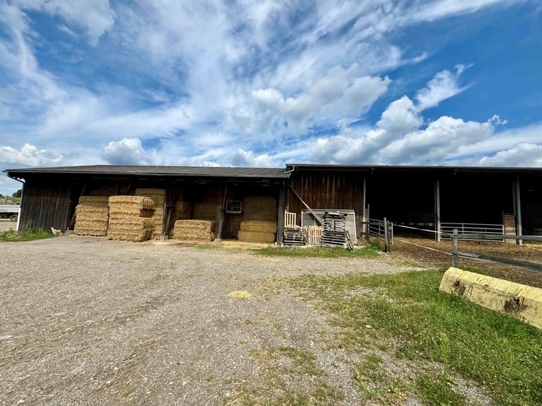 Exklusive Reitanlage im Großraum Nürnberg –  27 Ha, 3 Häuser  Aufteilung in 2 Reitanlagen möglich