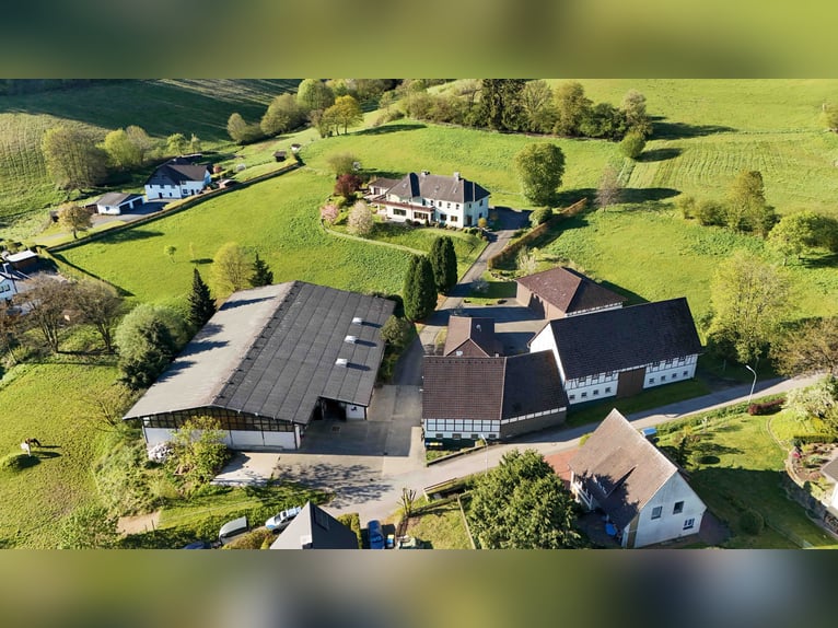 Exklusive Reitanlage im Sauerland | Landhaus, Ferienwohnungen, Reithalle mit Ausbaupotenzial