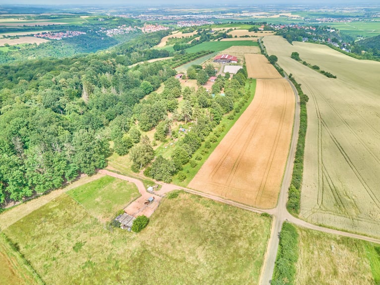 Exklusive Reitanlage in Alleinlage mit atemberaubendem Panoramablick in Rheinland-Pfalz