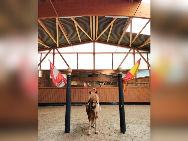 Exklusive Reitanlage mit Reithalle & vielseitigen Wohnmöglichkeiten in Hessen