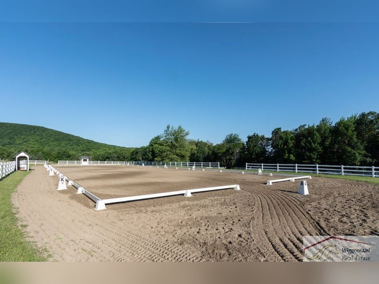 Exklusive Reitanlage mit umfangreicher Ausstattung nähe Düsseldorf NRW