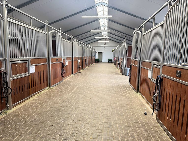Exklusive Reitanlage umfeld Düsseldorf, Deutschland