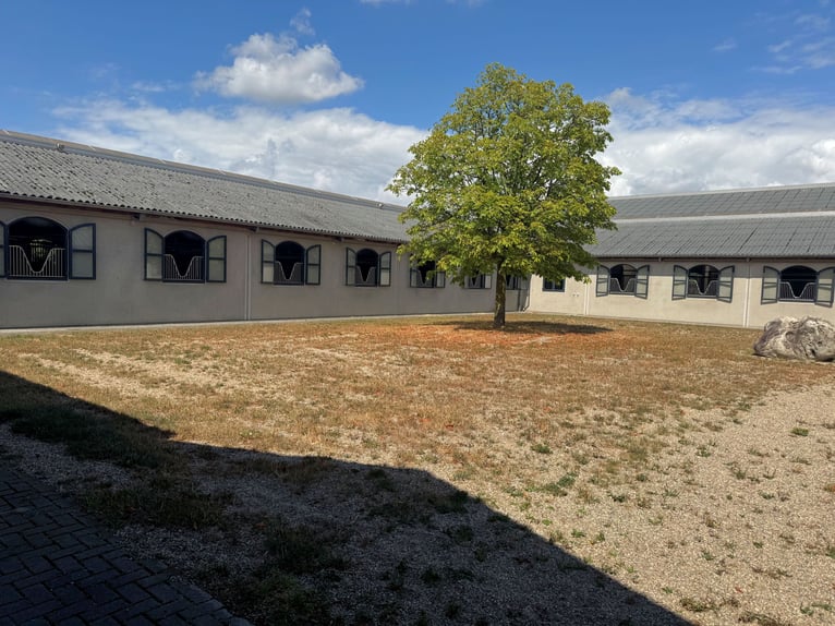 Exklusive Reitanlage umfeld Düsseldorf, Deutschland