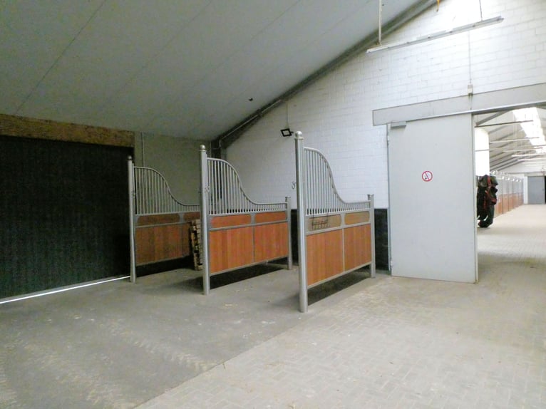 Exklusive Reitanlage umfeld Düsseldorf, Deutschland