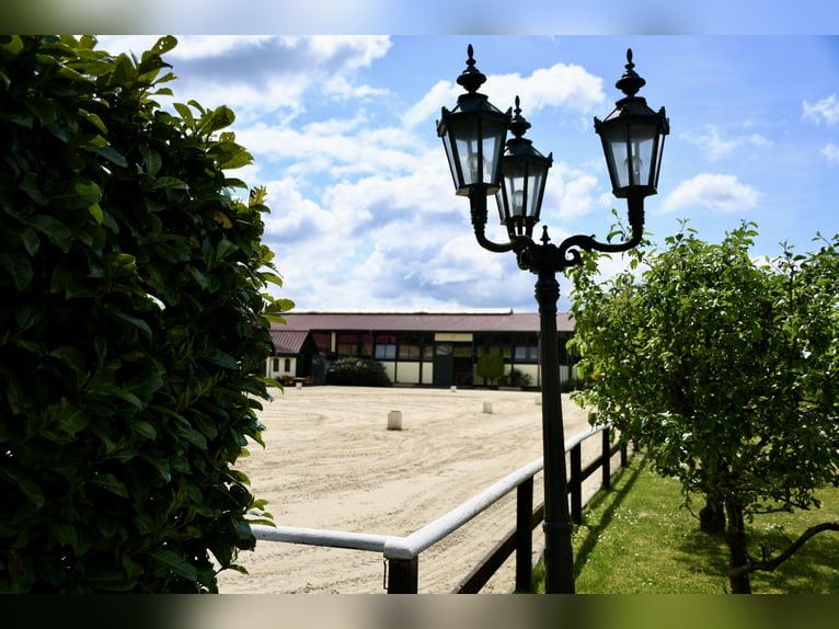 Exklusive Reitanlage zur Pacht: Perfekte Anbindung & idyllische Lage im Grünen - Bremen-Borgfeld