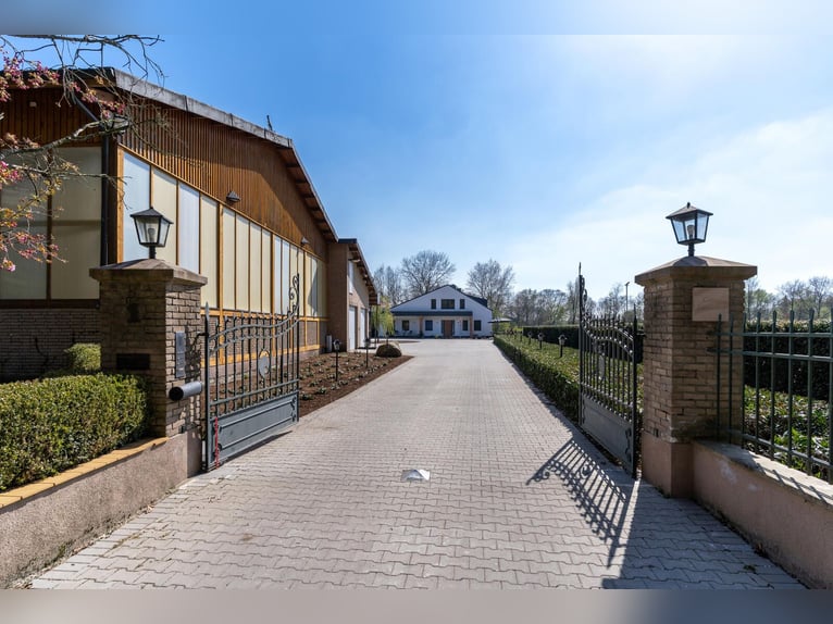 Exklusive Reitanlage zwischen Münsterland und Ostwestfalen, Wohnen u. Trainieren auf höchstem Niveau