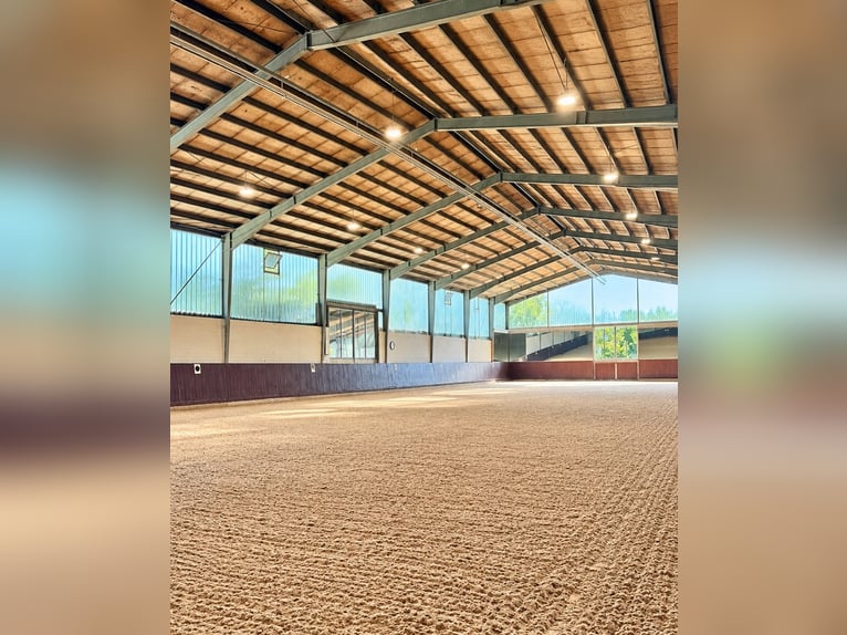 Exklusive Reitsportanlage mit Klinik & Pferde-Rehabereich bei Stuttgart