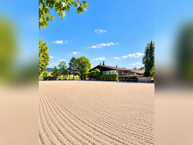 Exklusive Reitsportanlage mit Klinik & Pferde-Rehabereich bei Stuttgart