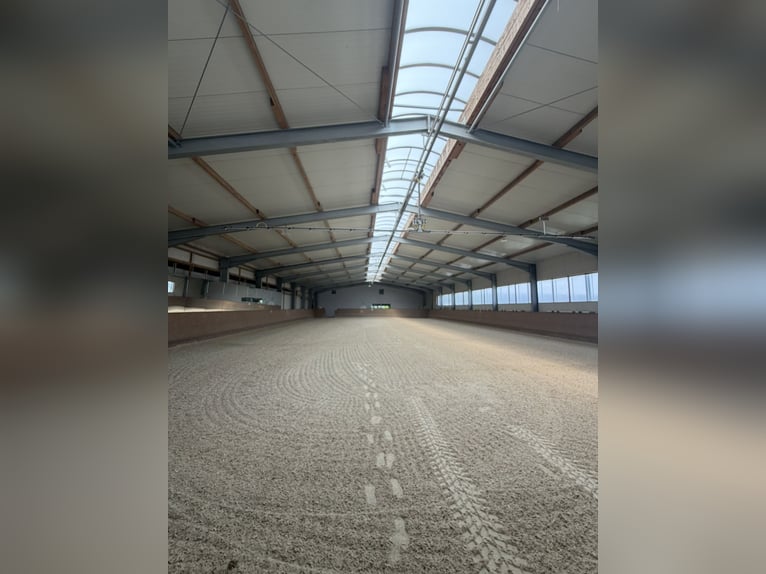 Exklusive Reitsportanlage mit moderner Lagerhalle bei Mühldorf - 388-26