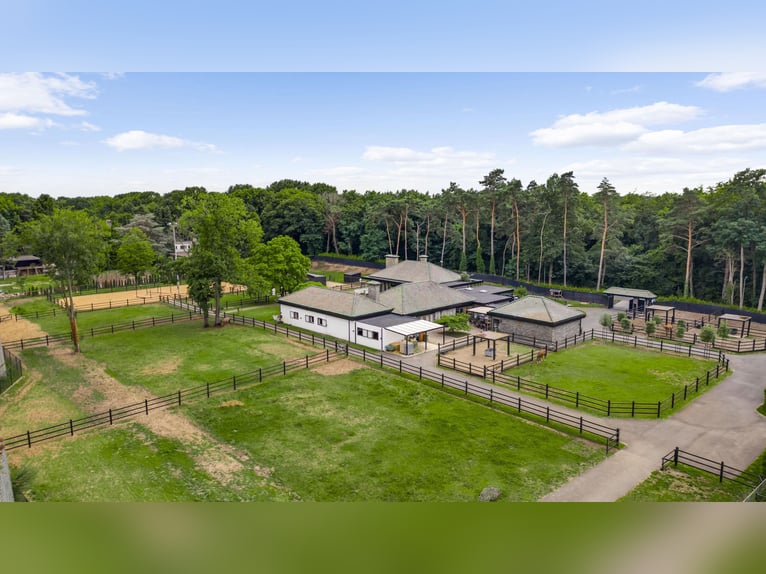 Exklusive Villa mit Gästehaus und Reitanlagen in der Nähe des Nationalparks De Meinweg