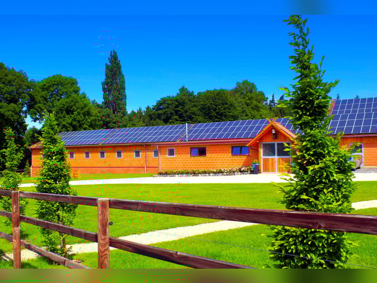 Exklusiver Pferdehof - TOP Ausstattung inkl. Photovoltaikanlage (bisher REHA Zentrum) Niedersachsen Exklusiver Pferdehof - TOP Ausstattung inkl. Photovoltaikanlage (bisher REHA Zentrum) Niedersachsen