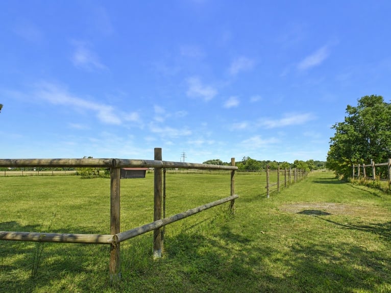 Exklusives Anwesen mit privater Reitanlage auf weitläufigem Grundstück mit ca. 24.000 m²