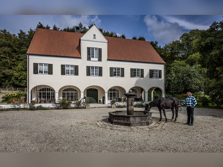 Exklusives Gestüt und Landsitz in Alleinlage mit Wassermühle und 12,4 ha Koppeln und Wald