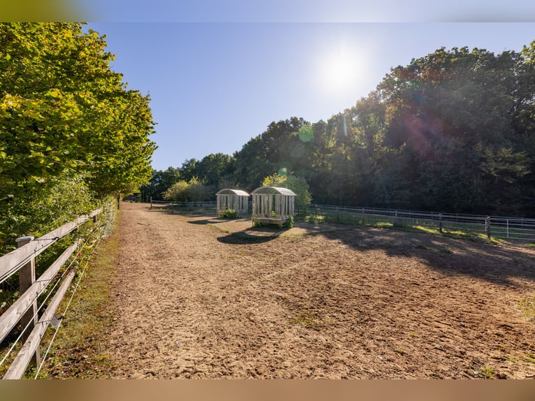 Exklusives Reitsportanwesen nahe Hamburg - 43 Hektar & neue Reithalle!