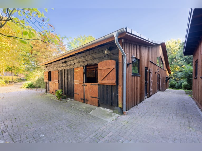 Exklusives Reitsportanwesen nahe Hamburg - 43 Hektar & neue Reithalle!