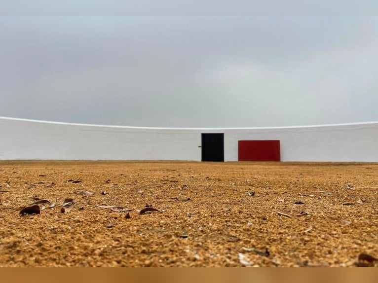 Finca des Traumhaften Landguts mit über 90 Hektar in der Nähe von Sevilla