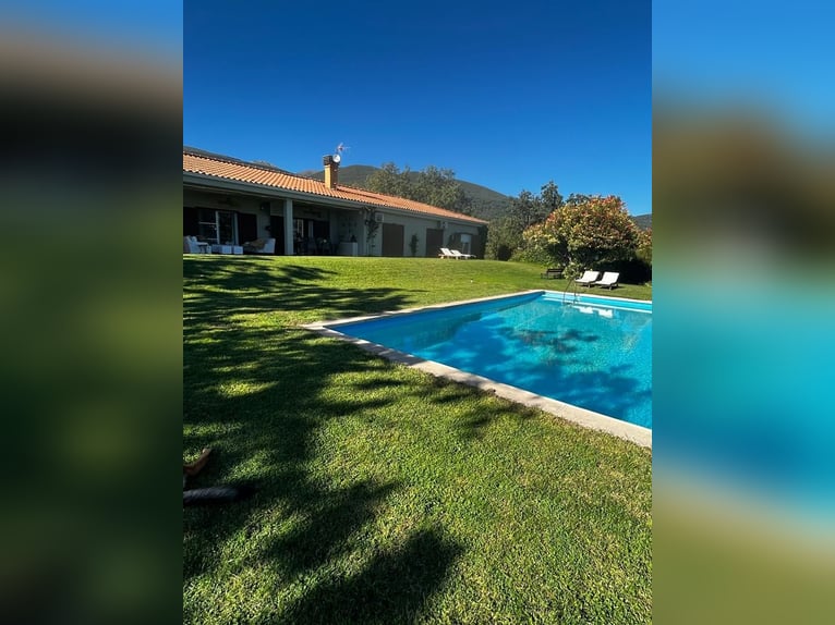 Finca im Gebiet von Gredos in Ensueño