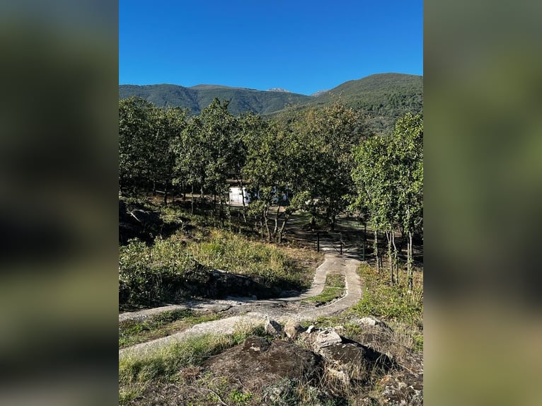 Finca im Gebiet von Gredos in Ensueño