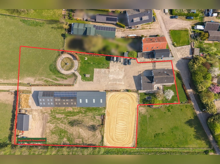 Freistehendes Haus mit großzügigem Wohnbereich und einer hochwertigen, komplett ausgestatteten Pferd