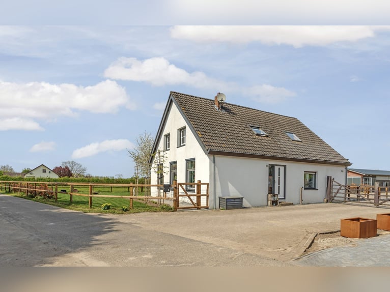 Freistehendes Haus mit großzügigem Wohnbereich und einer hochwertigen, komplett ausgestatteten Pferd